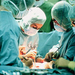 Plants: image 1 0f 4 thumb