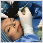 Plants: image 1 0f 4 thumb