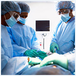 Plants: image 1 0f 4 thumb