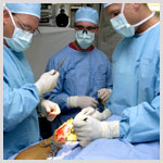 Plants: image 1 0f 4 thumb